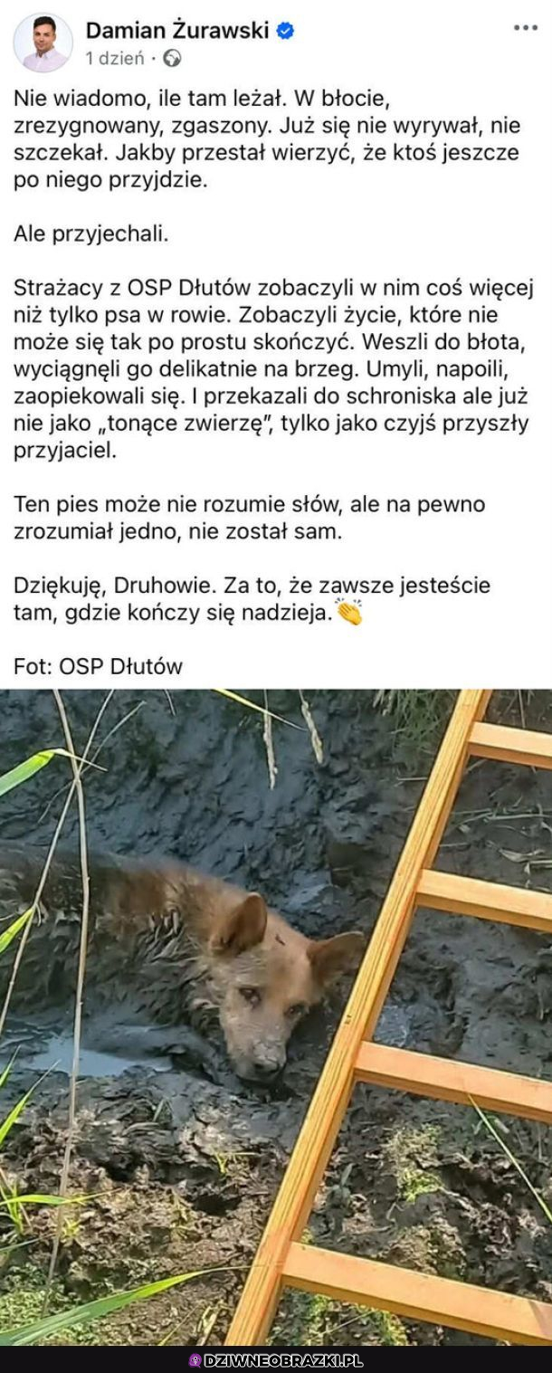 Wiara w ludzi