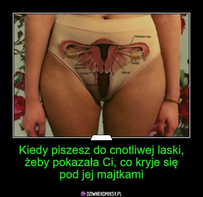 Kiedy ona jest cnotliwa, ale ma poczucie humoru
