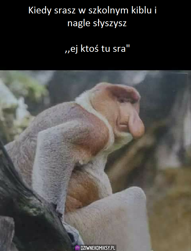 W szkolnym kiblu