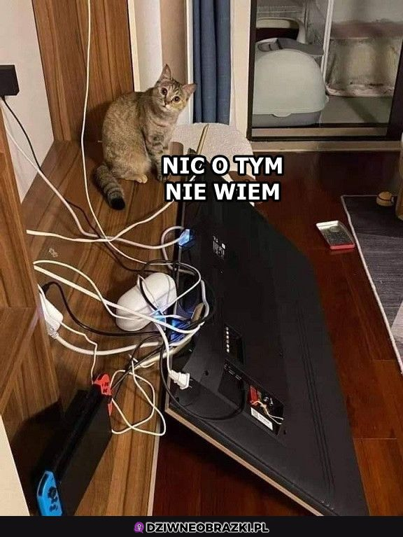 To naprawdę nie ja!