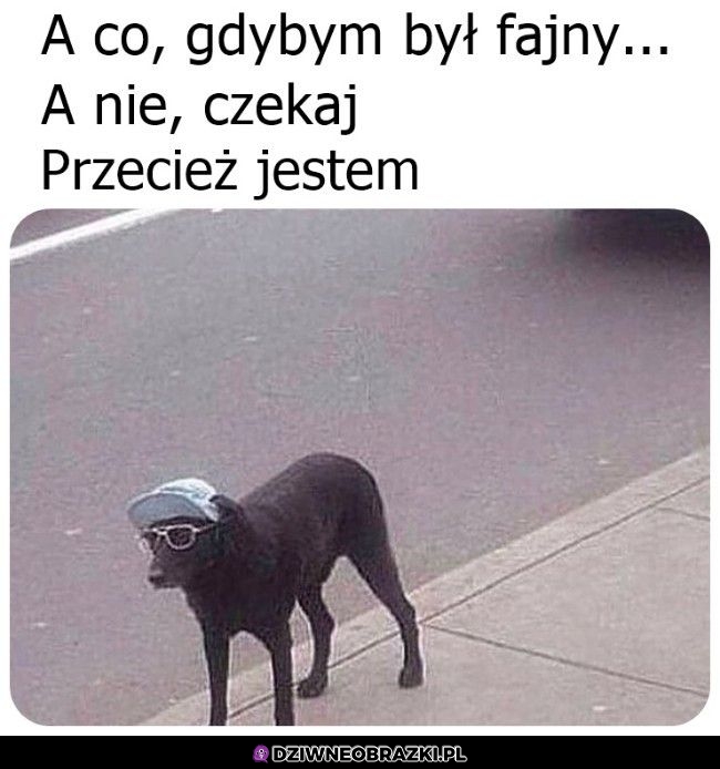 Najfajniejszy