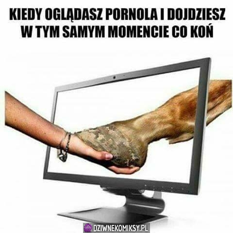 Kiedy oglądasz pornola