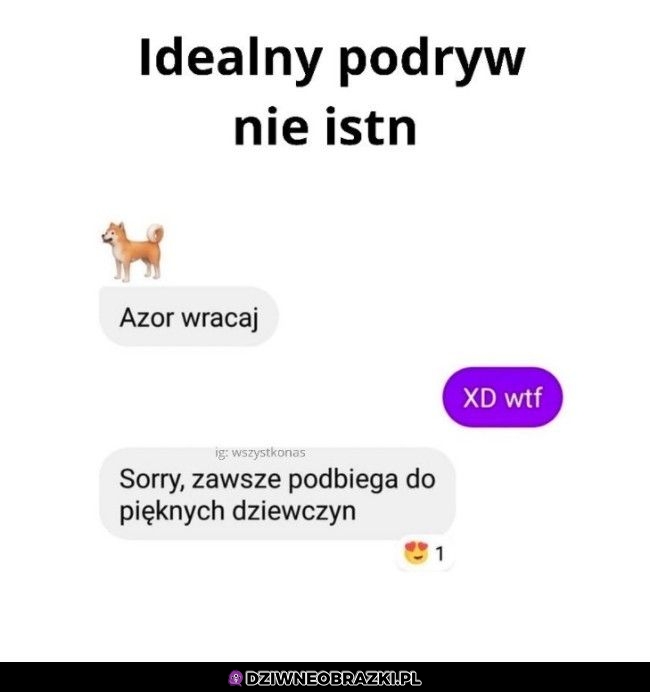 Niezły