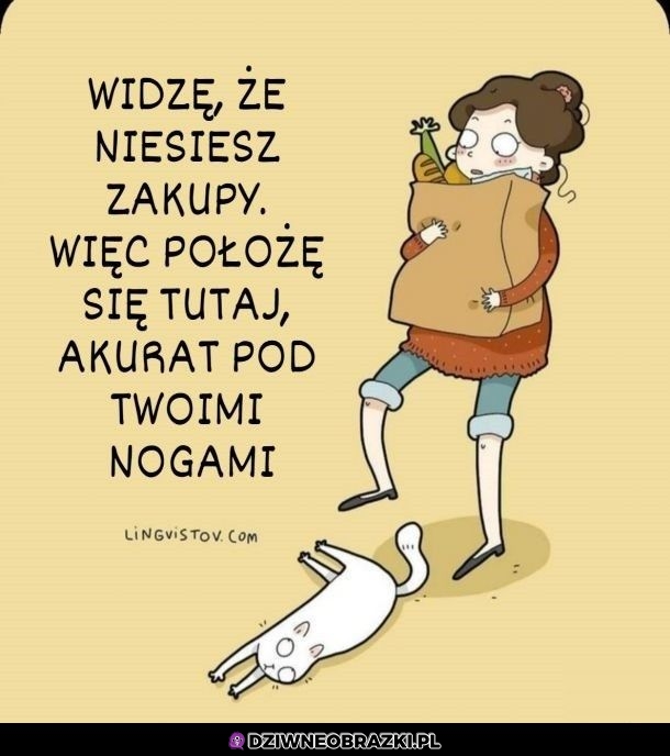 Najlepsze miejsce