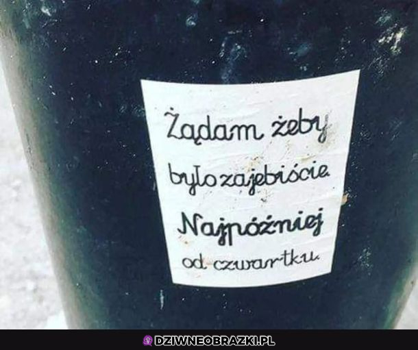 Żądam