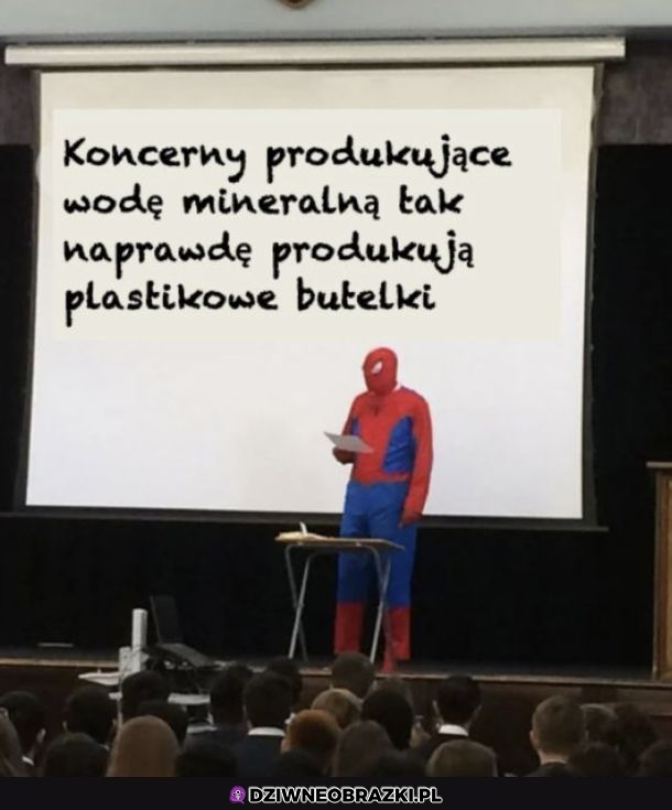 Coś w tym jest