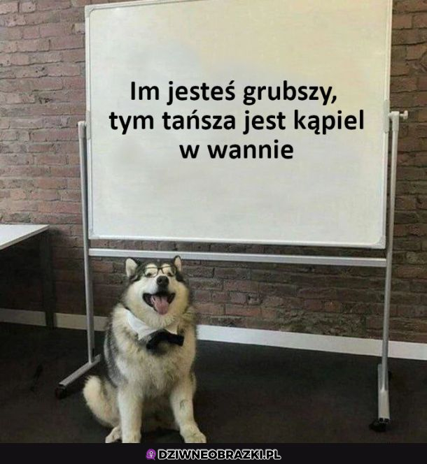 Grubi mają lepiej